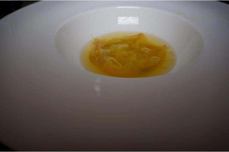 Zuppa di tinca con passaggio speziato e capelli d'angelo - Sandro Serva - La Trota